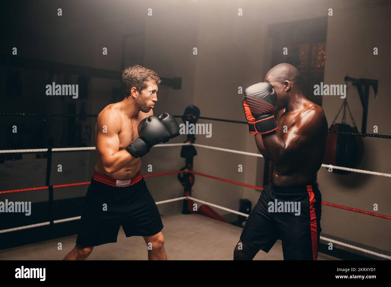 Two boxers standing in fighting position inside a boxing ring. Two