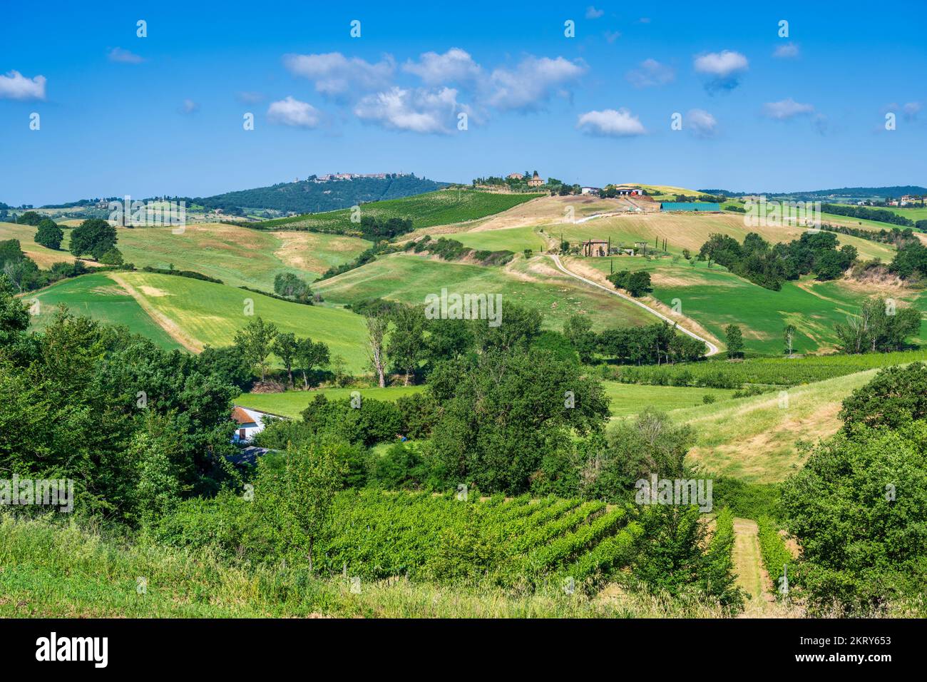 View across vineyards and rolling countryside to distant hilltop town of Montepulciano in Tuscany, Italy Stock Photo