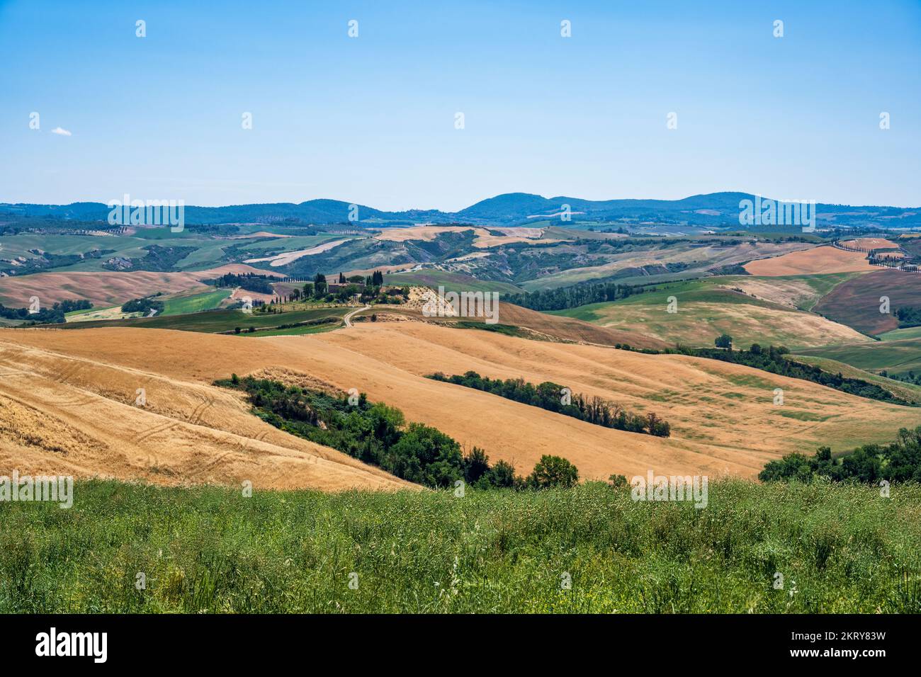 Rolling Tuscan landscape in the Crete Senesi near the town of Asciano, Province of Siena, Tuscany, Italy Stock Photo