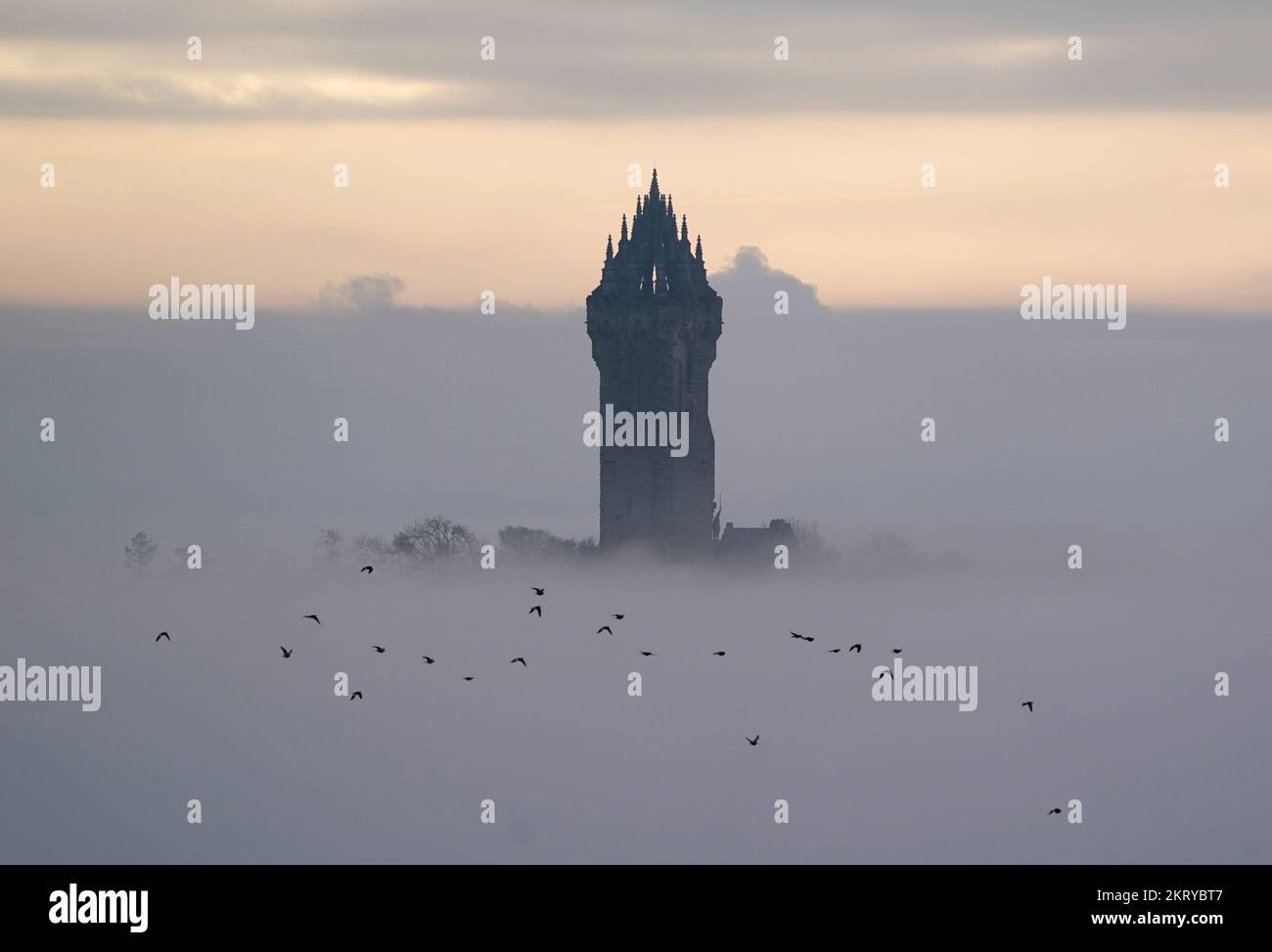 The Wallace Monument sits above the heavy fog, as the fog makes its way through the carse at Stirling this morning. Picture date: Tuesday November 29, 2022. Stock Photo
