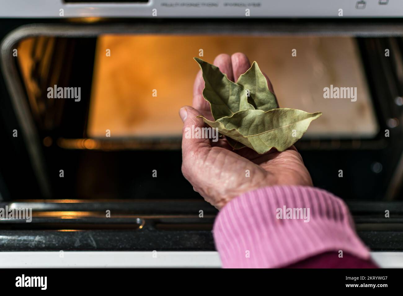 Hand holding bay leaves in front of an oven in a kitchen, dryed leaves, cooking with bay leaves