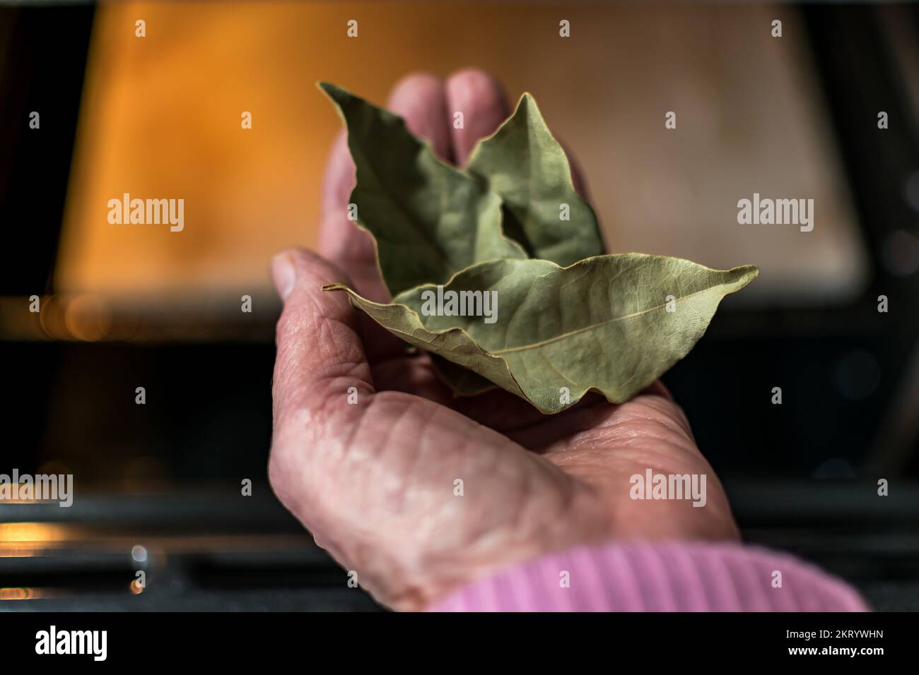 Hand holding bay leaves in front of an oven in a kitchen, dryed leaves