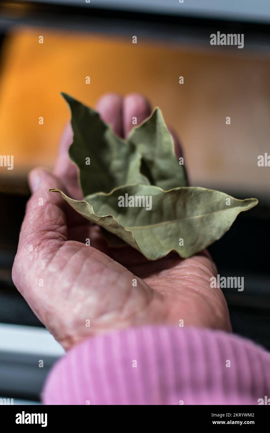 Hand holding bay leaves in front of an oven in a kitchen, dryed leaves