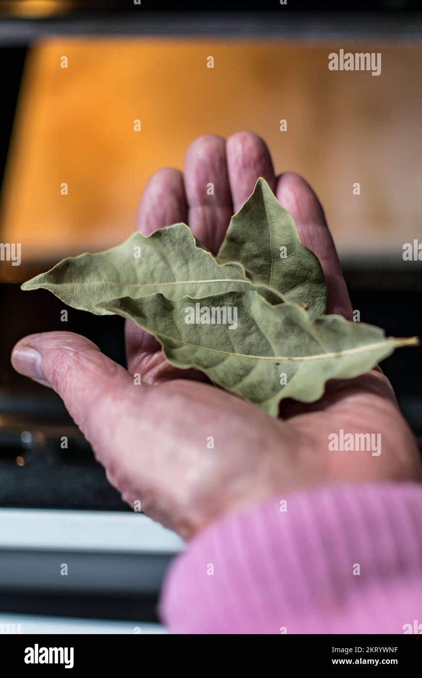 Hand holding bay leaves in front of an oven in a kitchen, dryed leaves, cooking with bay leaves
