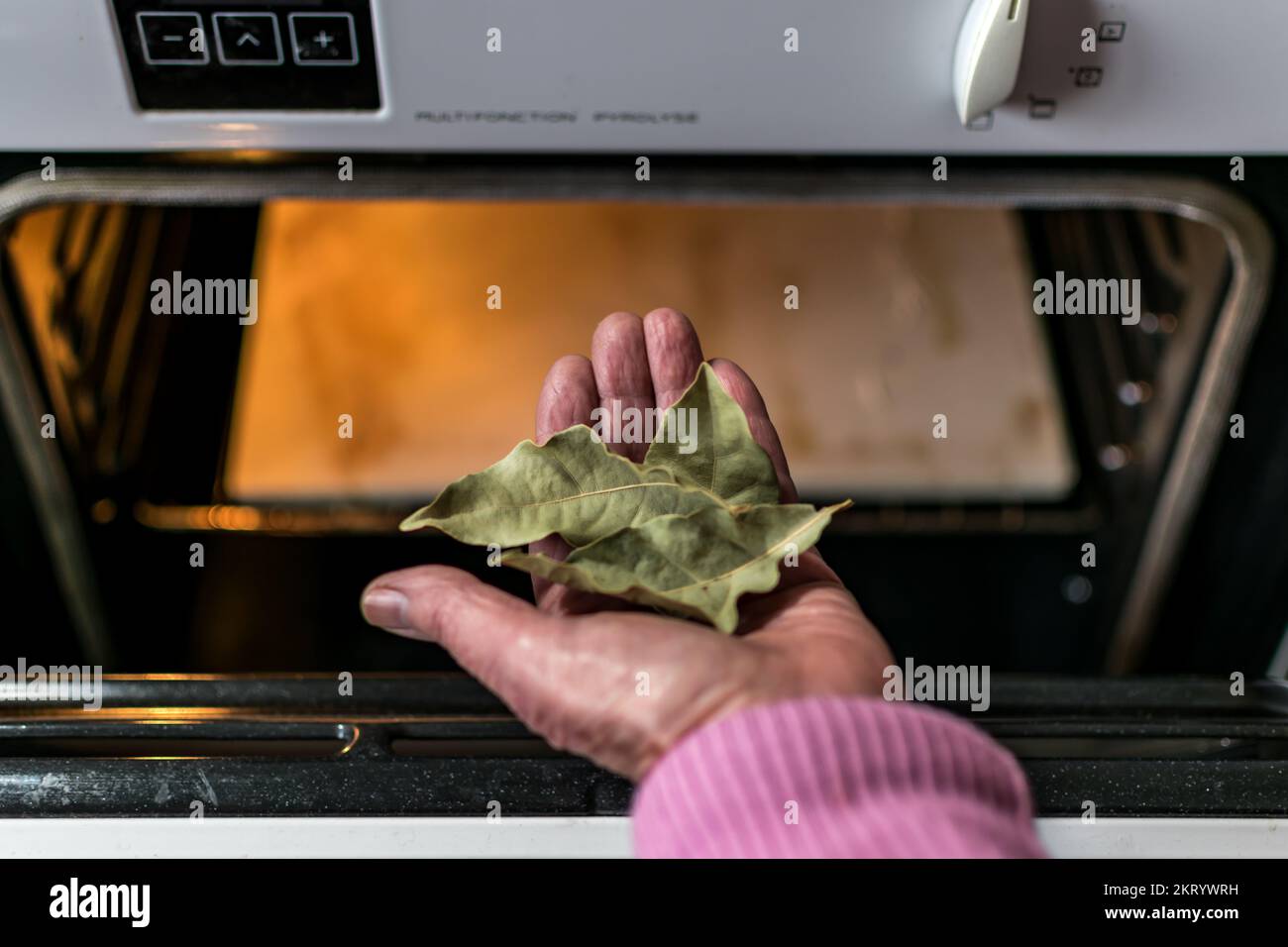 Hand holding bay leaves in front of an oven in a kitchen, dryed leaves, cooking with bay leaves