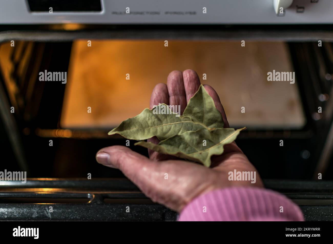 Hand holding bay leaves in front of an oven in a kitchen, dryed leaves, cooking with bay leaves