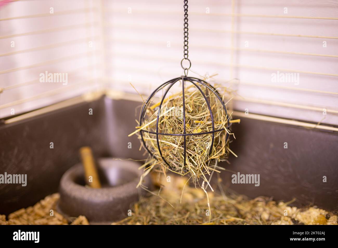 Hay and dried grass for rabbit in pet cage and dry food for rodents