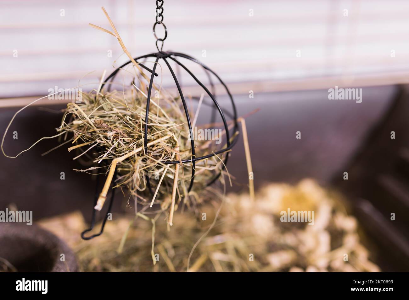 Hay and dried grass for rabbit in pet cage and dry food for rodents pet feed with copy space