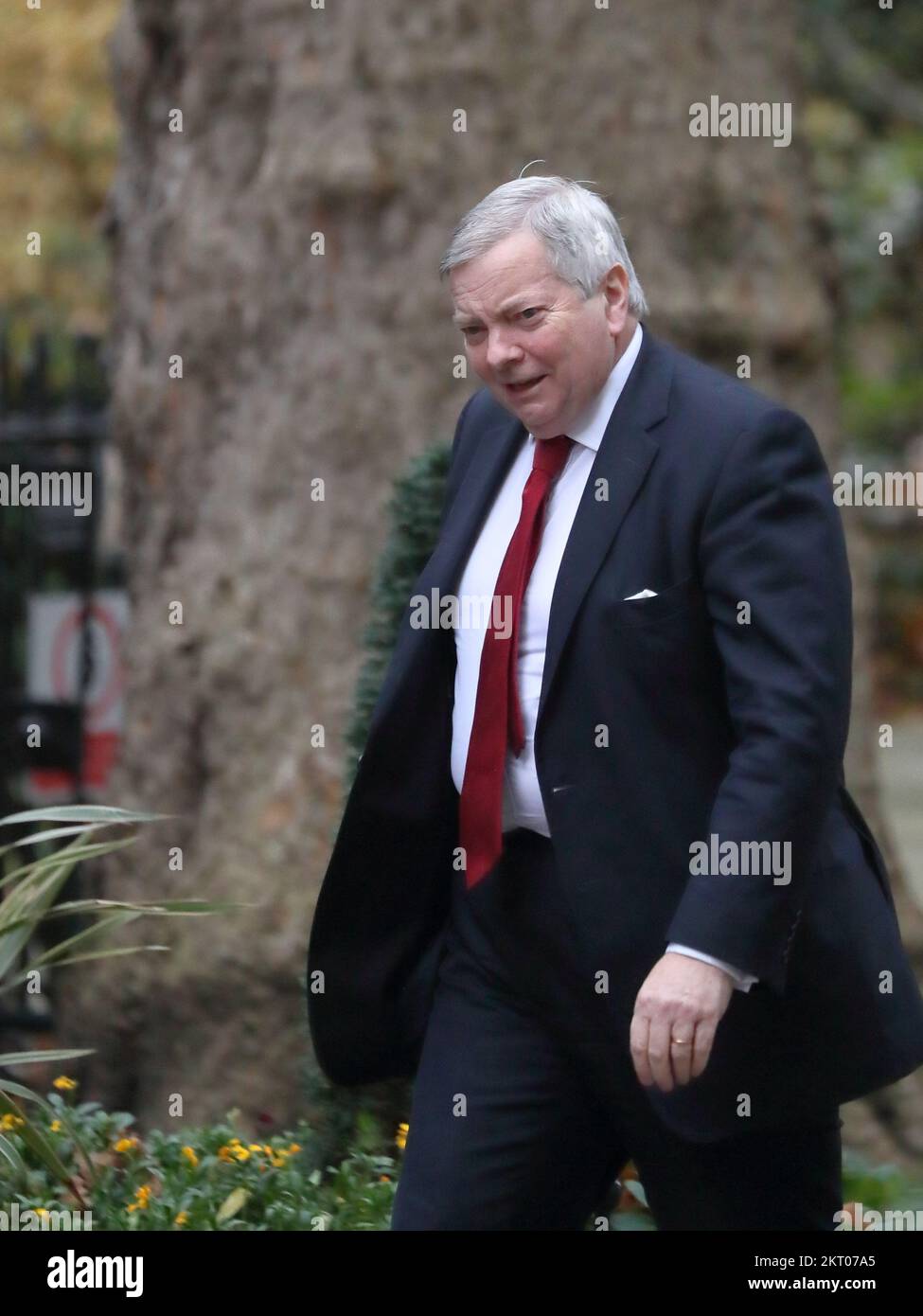 Downing Street, London, UK. 29th Nov, 2022. Leader of the House of Lords Lord True arrives for the Cabinet Meeting at No 10 Downing Street. Credit: Uwe Deffner/Alamy Live News Stock Photo