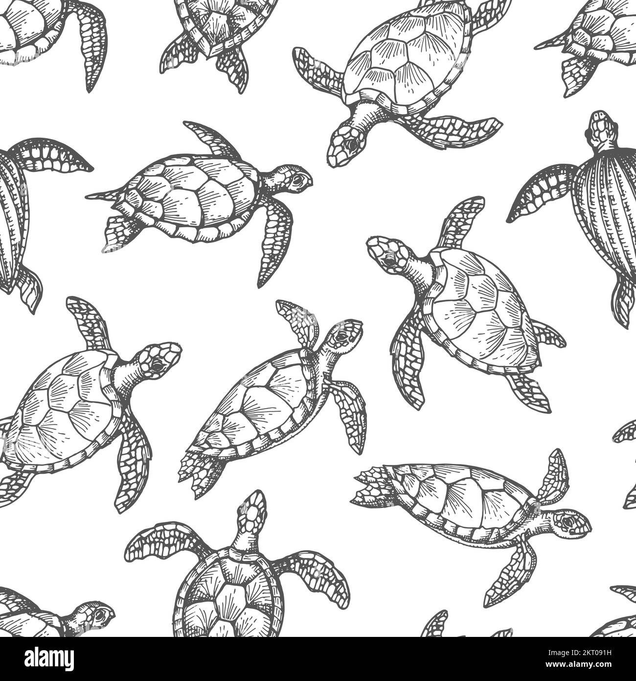 Turtle reptile sketches seamless pattern of marine animals and land reptiles. Vector background of sea turtles, terrapins and tortoises with shells, f Stock Vector