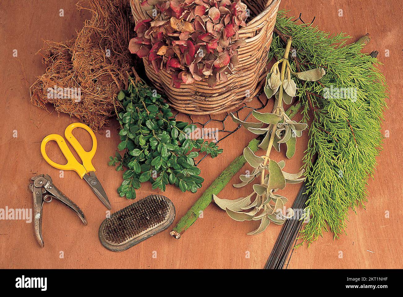 A selection of materials for the Golden Highlights Tree Stock Photo - Alamy