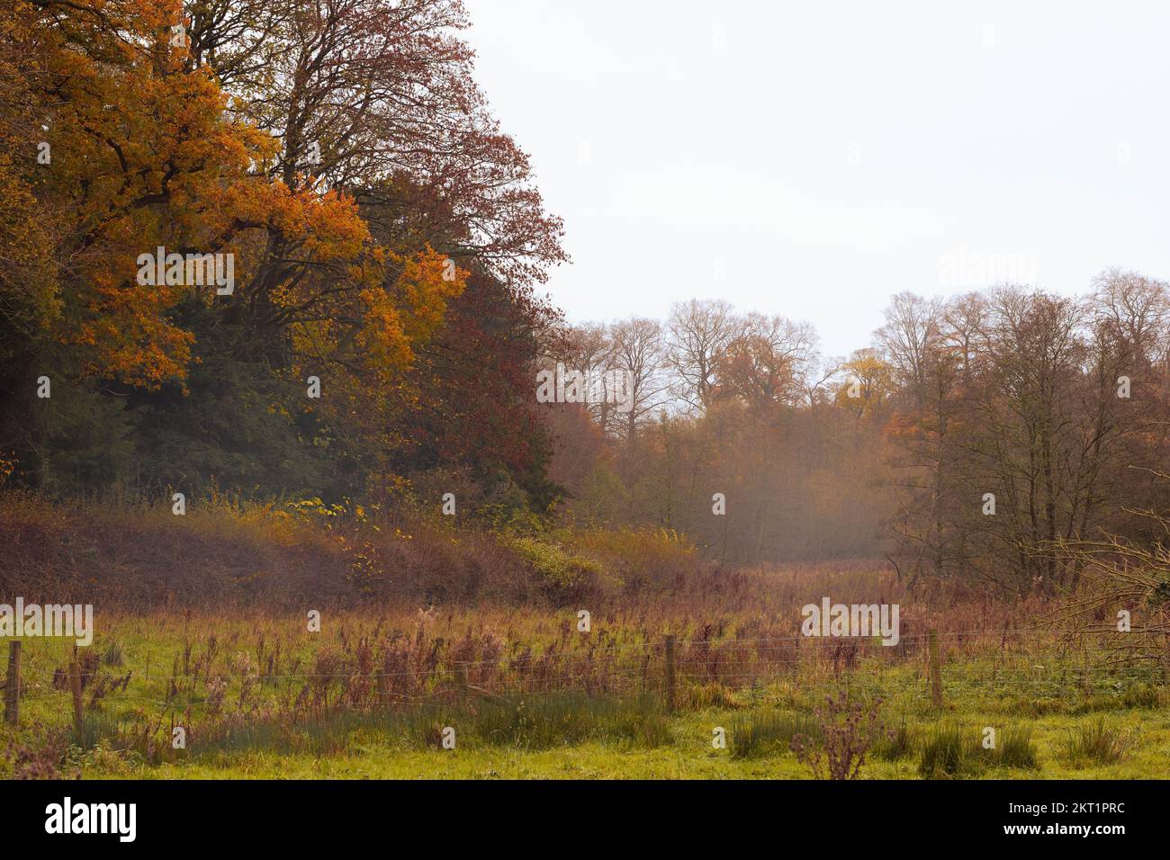 Erddig National Trust property in Wrexham Stock Photo Alamy