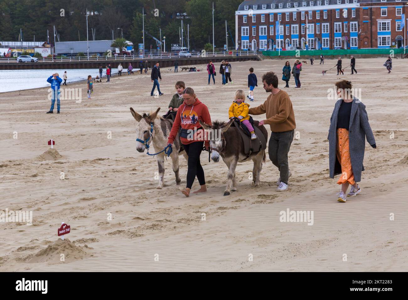 Donkey rides on Weymouth beach at Weymouth, Dorset UK in October Stock Photo