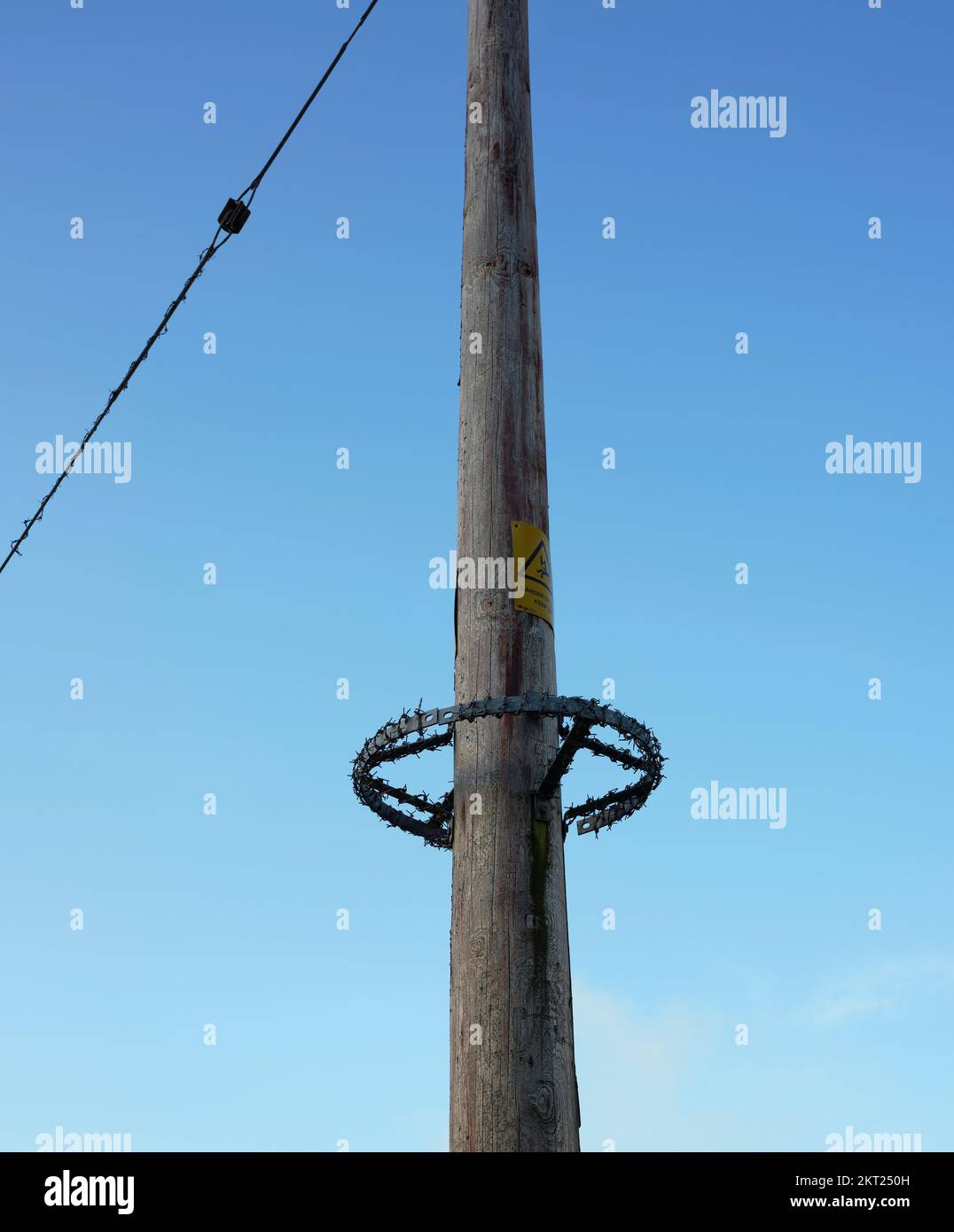 A barbed wire circle acts as deterrent to vandals on an electricity pole on the green in Slaidburn. Lancashire Stock Photo