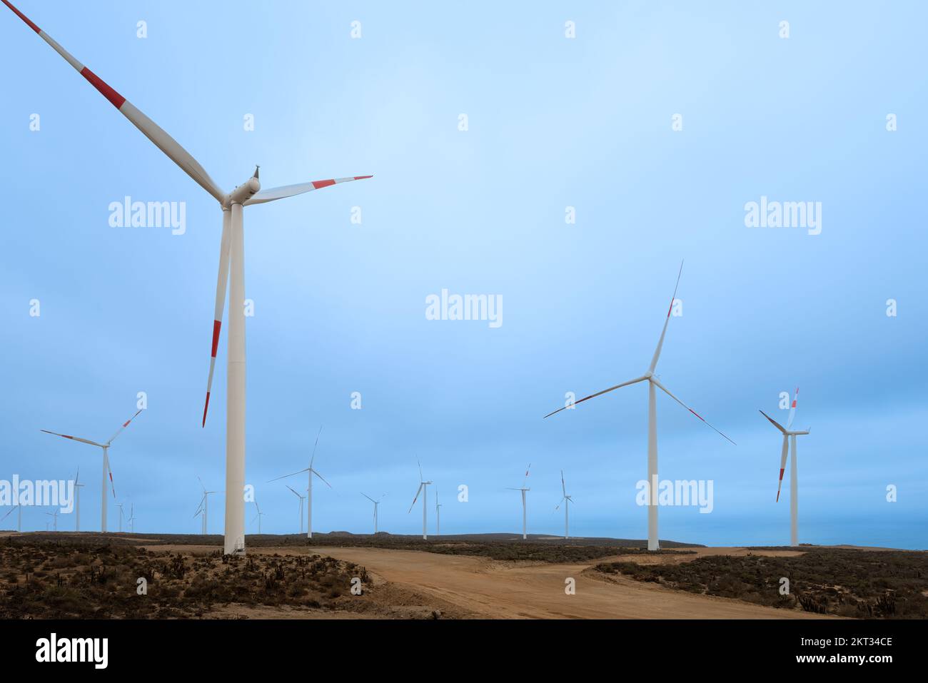 Windmills at wind farm, Coquimbo Region, Chile Stock Photo