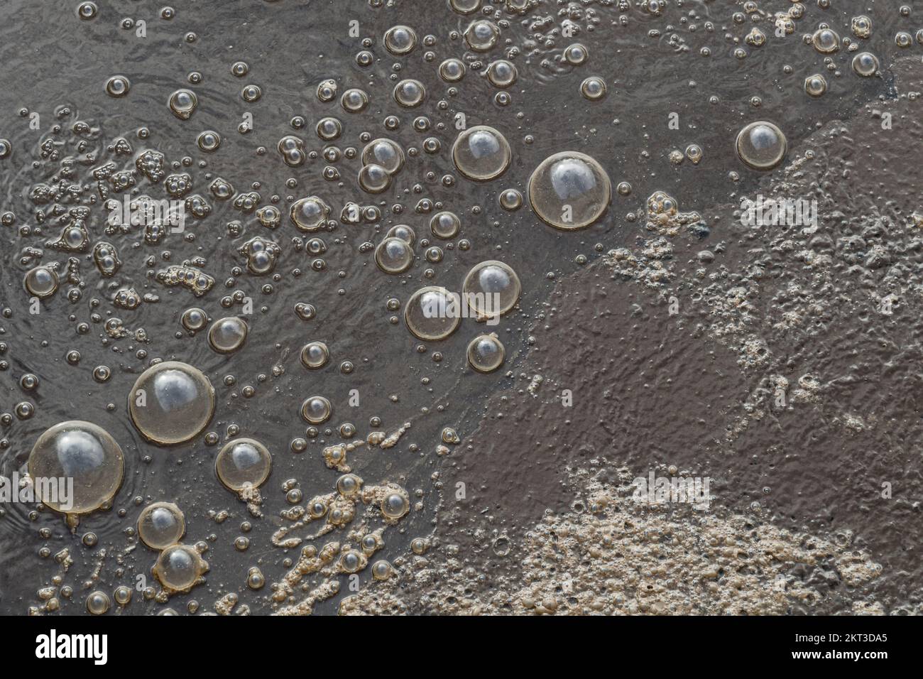 Bubbles in waste water treatment plant tanks using aeration in Aerobic Wastewater Treatment, Norristown Pennsylvania, USA Stock Photo