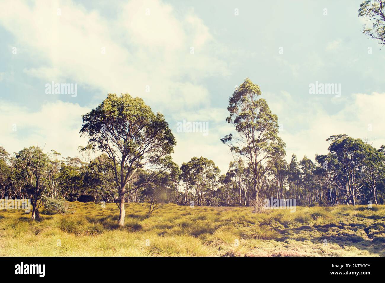 Empty cradle film hires stock photography and images Alamy