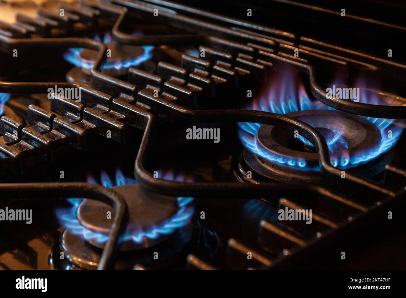 CloseUp Of Gas Stove Burner flames Stock Photo Alamy
