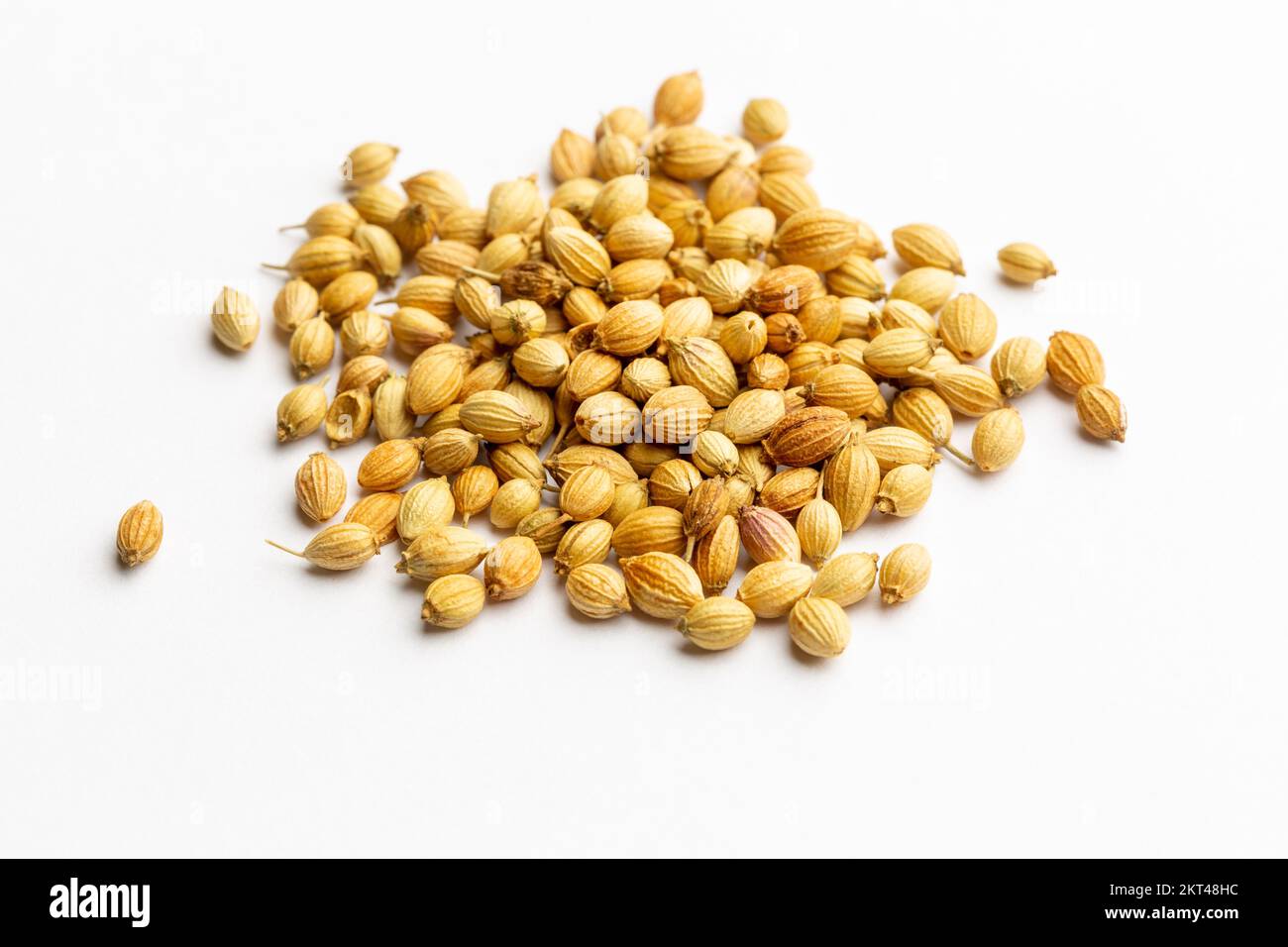 A close up of dried coriander seeds Stock Photo Alamy