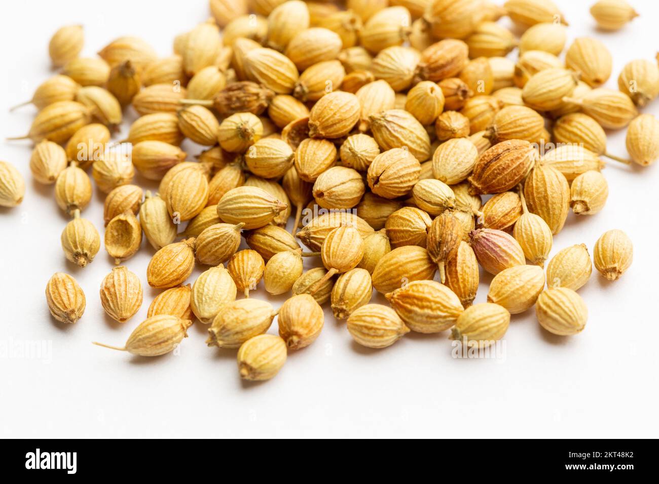 A close up of dried coriander seeds Stock Photo Alamy