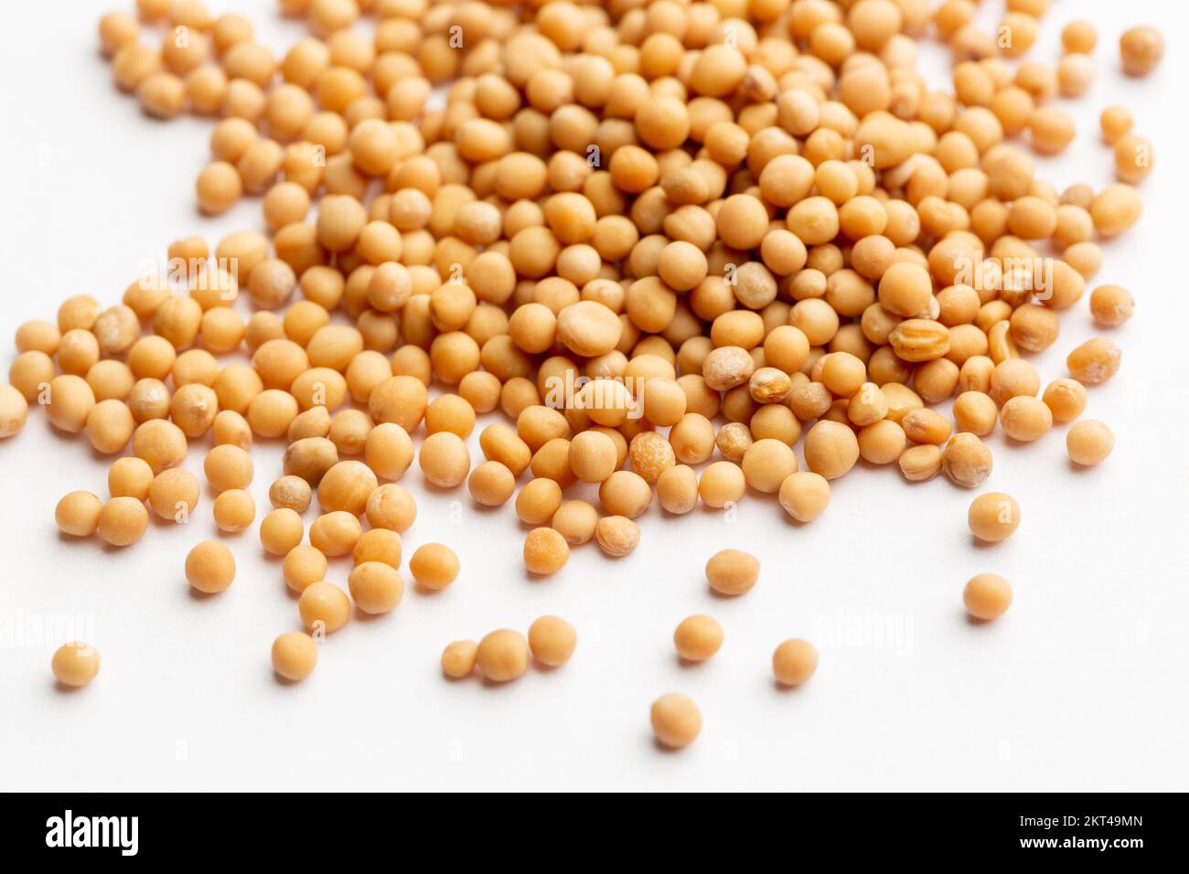 A close up of dried yellow mustard seeds Stock Photo Alamy