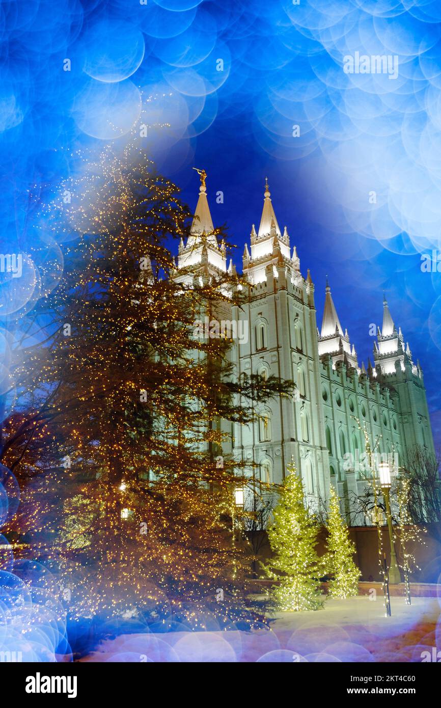 Mormon church maryland christmas lights