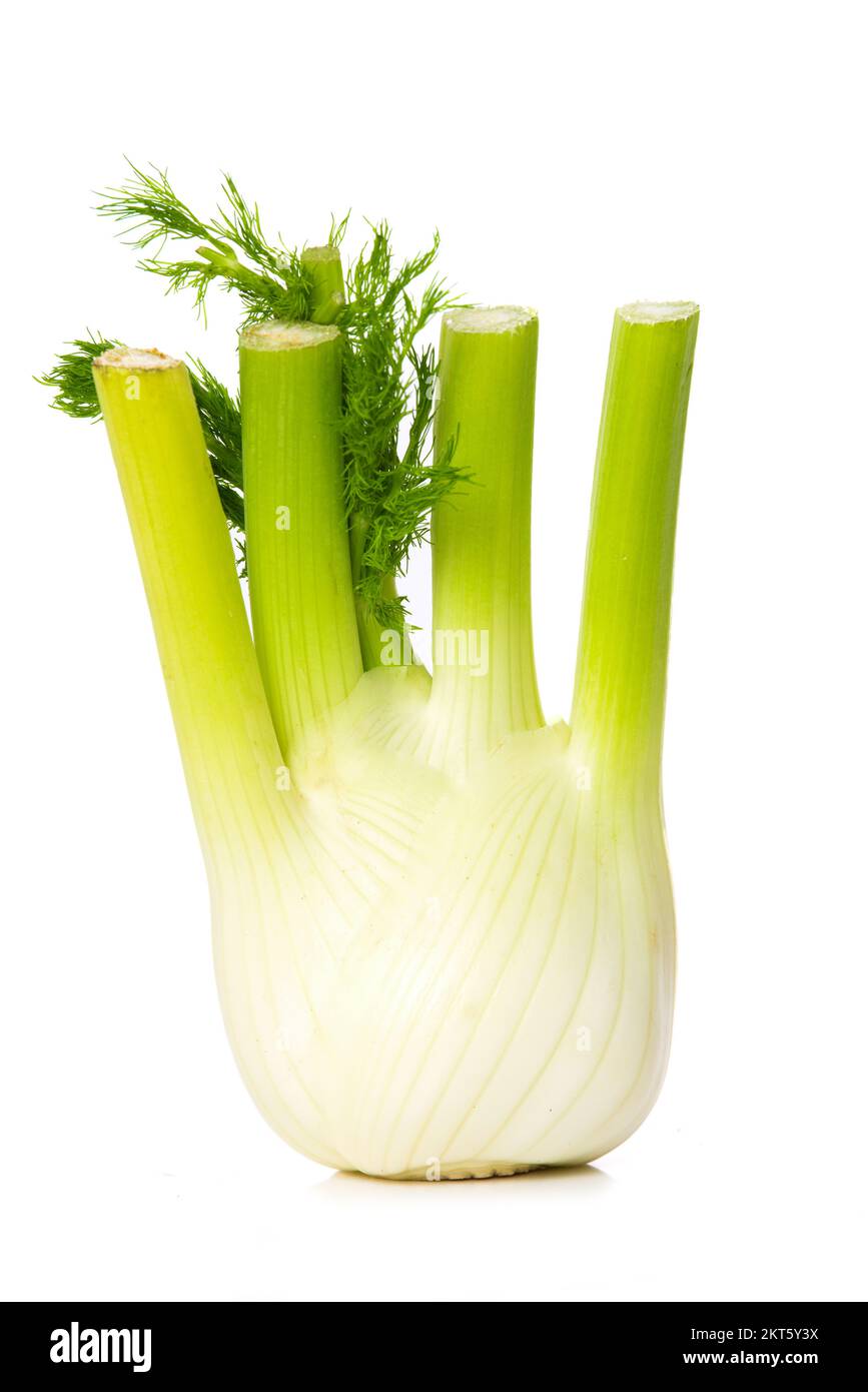 Fennel isolated on white background Stock Photo Alamy