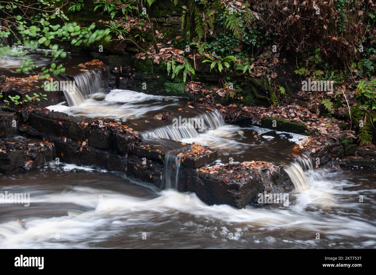Birkacre road hires stock photography and images Alamy