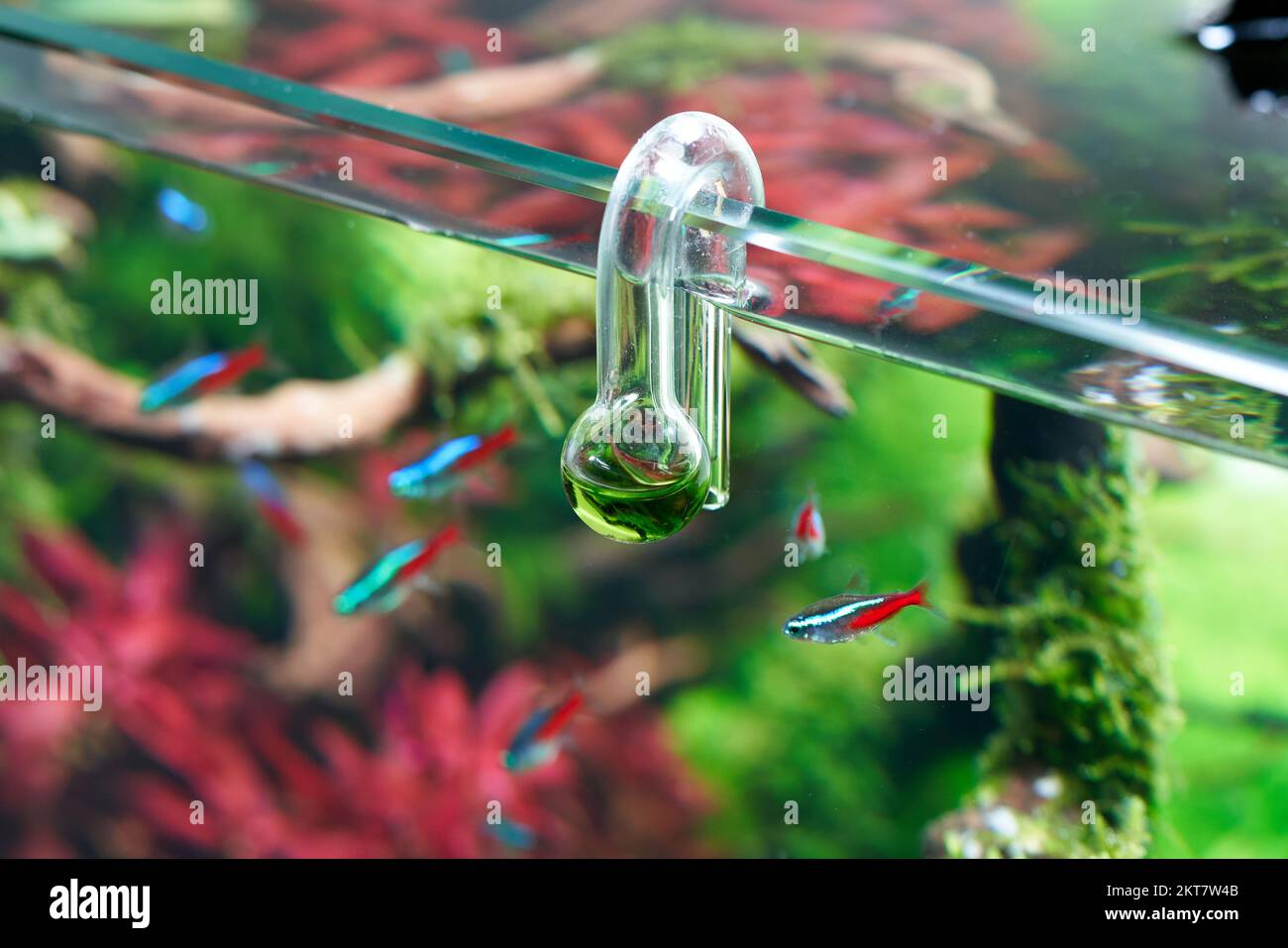 Glass hangon CO2 aquarium drop checker for monitoring optimal carbon