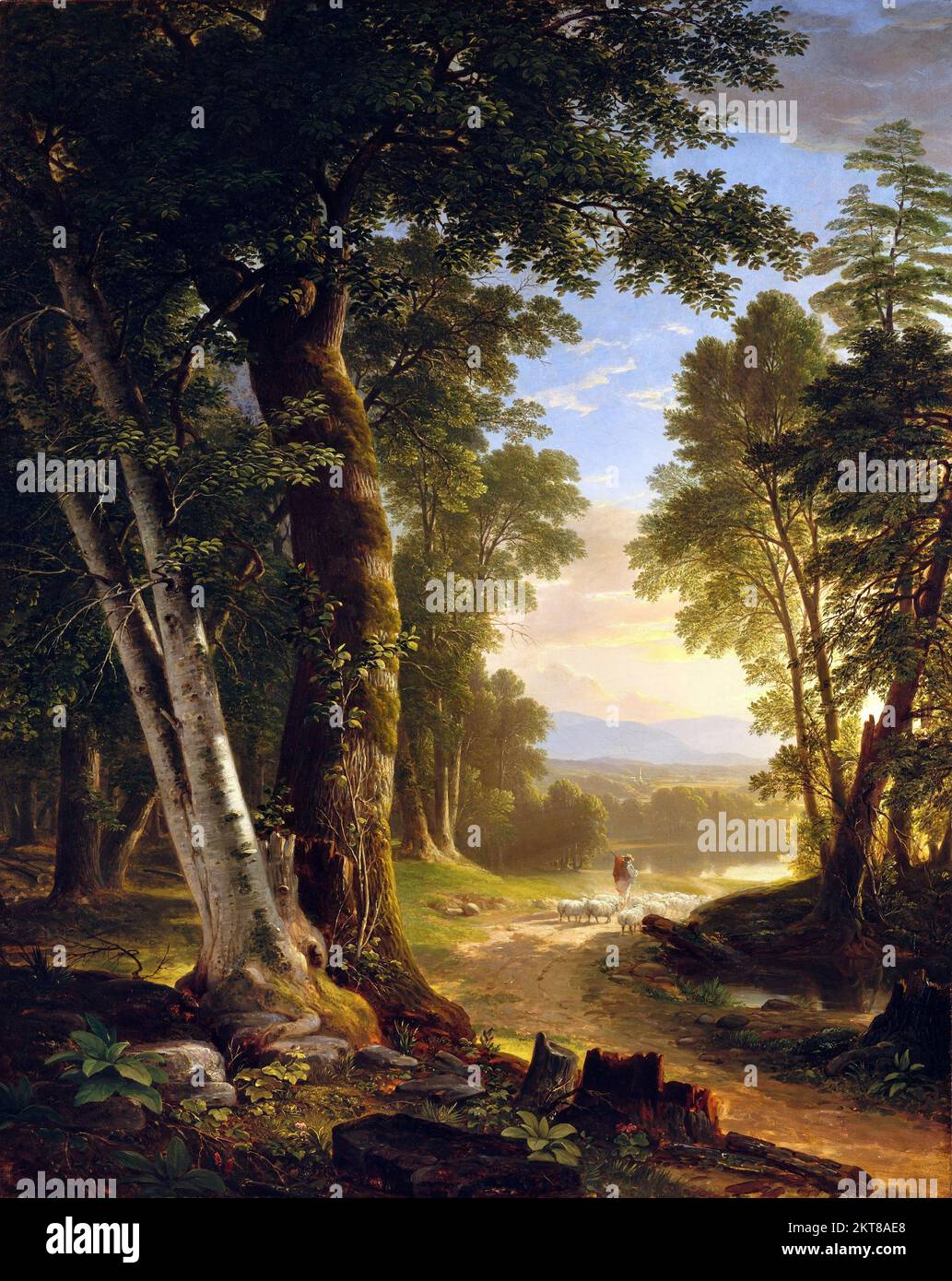 The Beeches by Asher Brown Durand (1896-1886), oil on canvas, 1845 Stock Photo