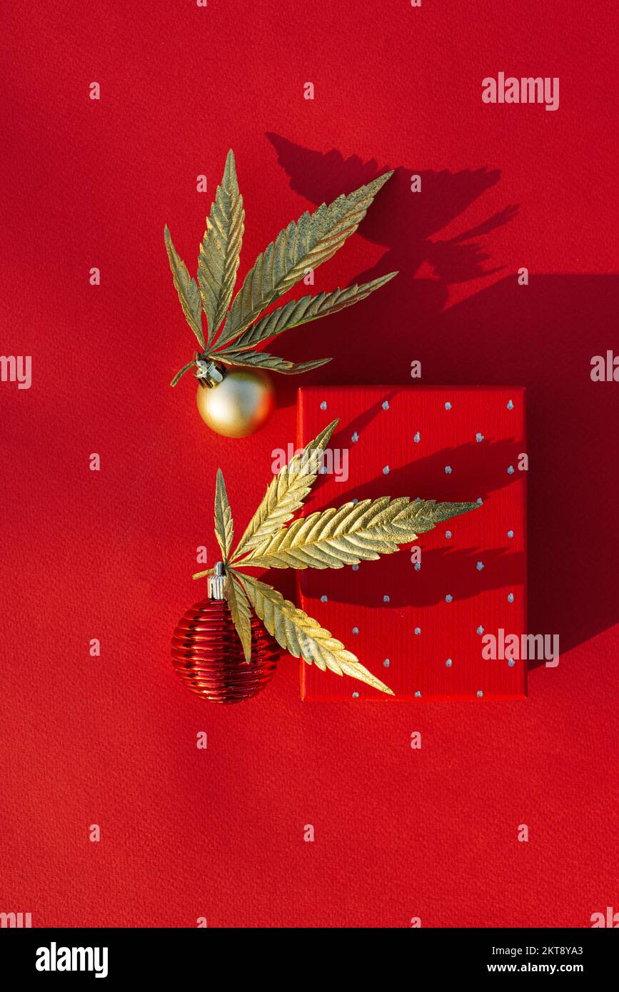 Golden leaves of cannabis, marijuana with Christmas decor and gift box on a red holiday background. The concept of a red holiday backdrop for posters Stock Photo
