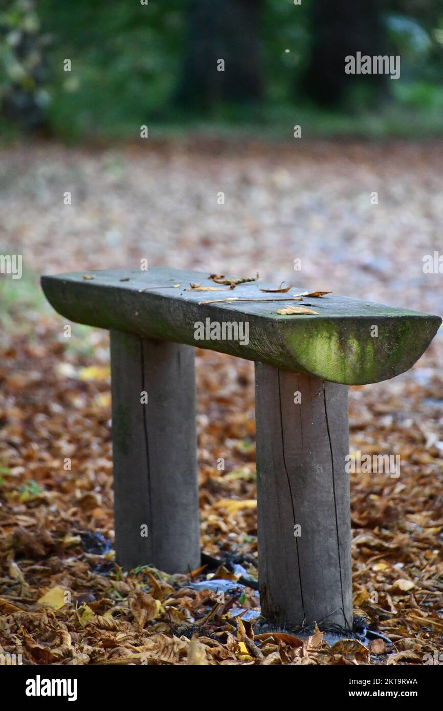 Bench in Canal Walk, Kilkenny, Ireland Stock Photo