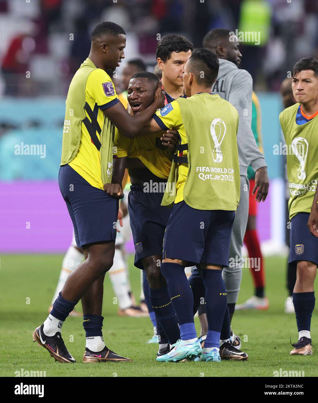 Doha, Katar. 29th Nov, 2022. firo 11/29/2022, Football, Soccer, FIFA