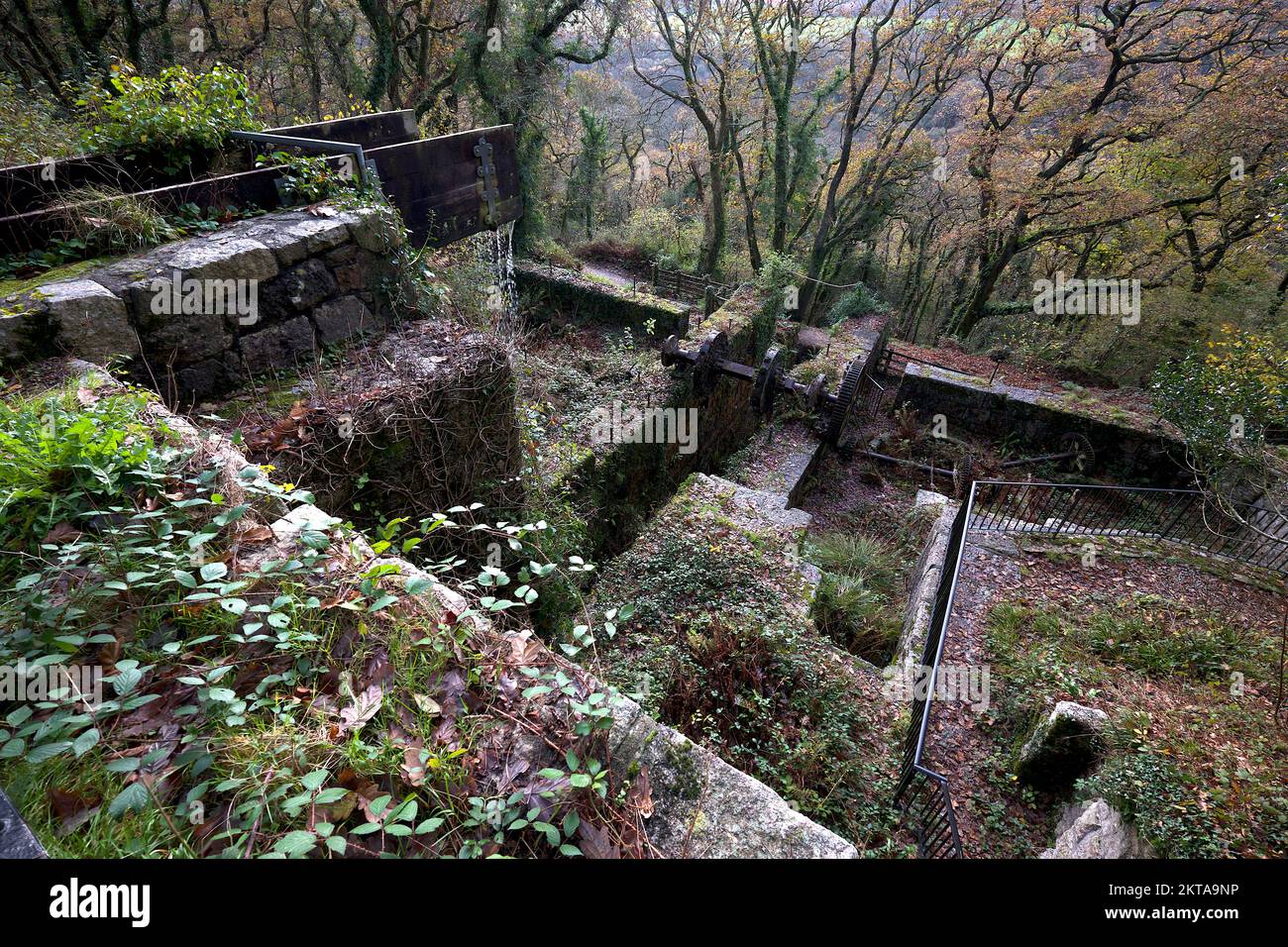 St Austell Cornwall UK 11 29 2022 Luxulyan Valley industrial remains as