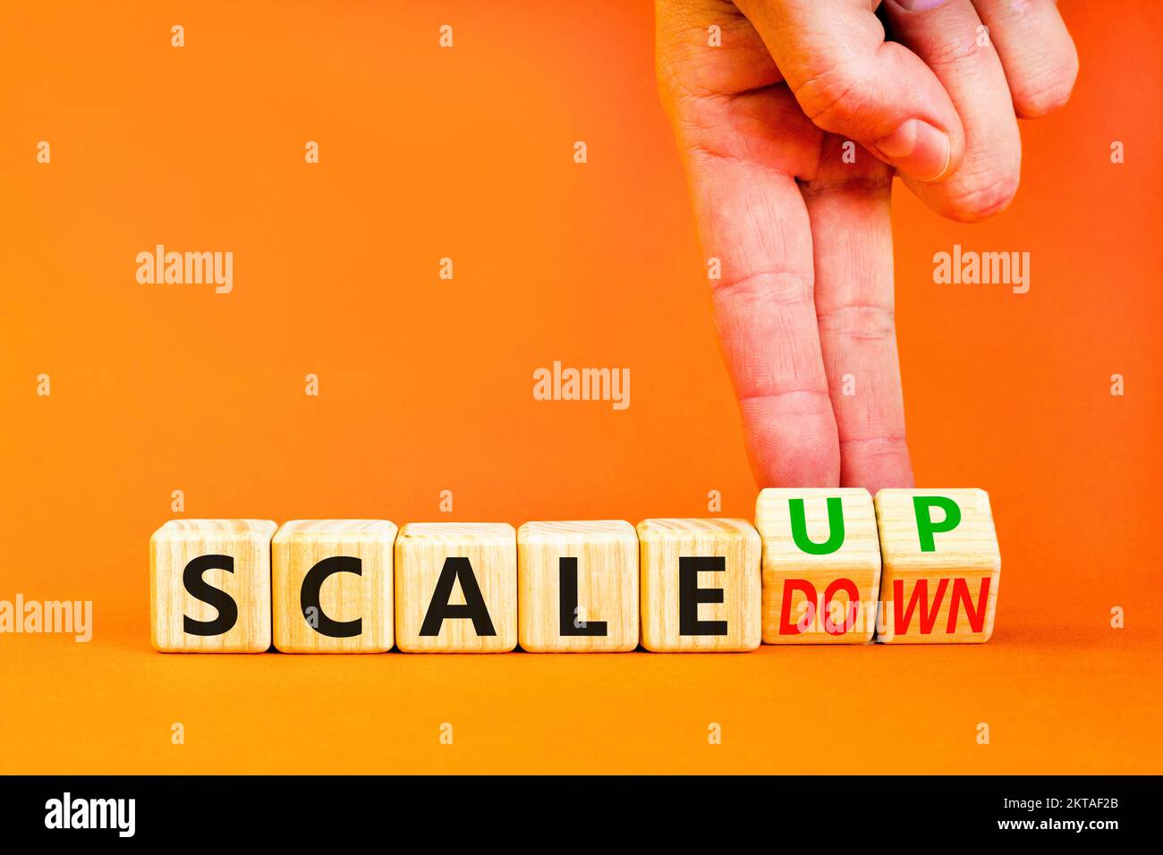 Scale up or down symbol. Concept words Scale up Scale down wooden cubes ...