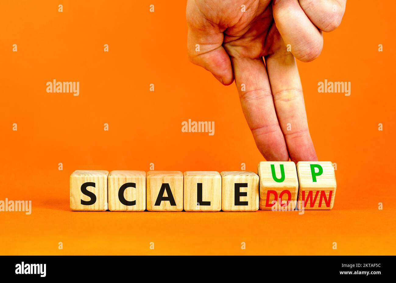 Scale up or down symbol. Concept words Scale up Scale down wooden cubes
