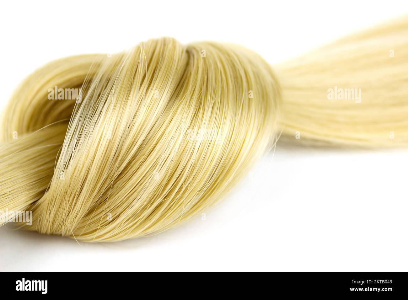 Blonde hair lock tied in knot. Strand of blond hair on white. Curls of hair. Blond wavy hair on white background Stock Photo