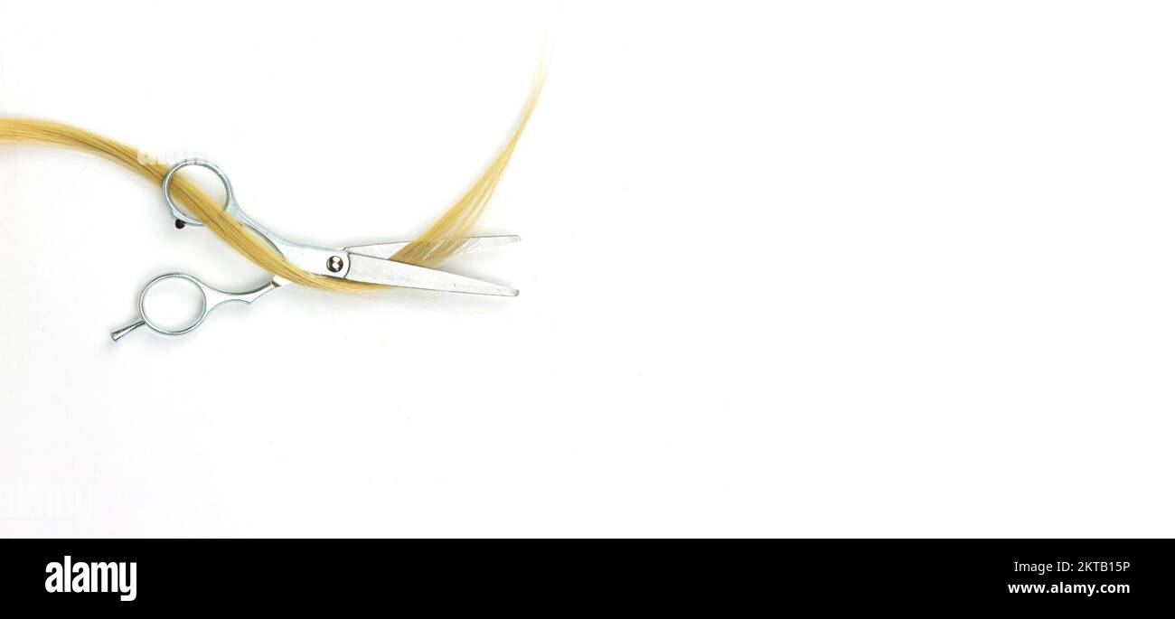Flat lay composition with light blond hair, scissors and space for text on white background. Top view of a strand of blond hair with scissors on a lig Stock Photo