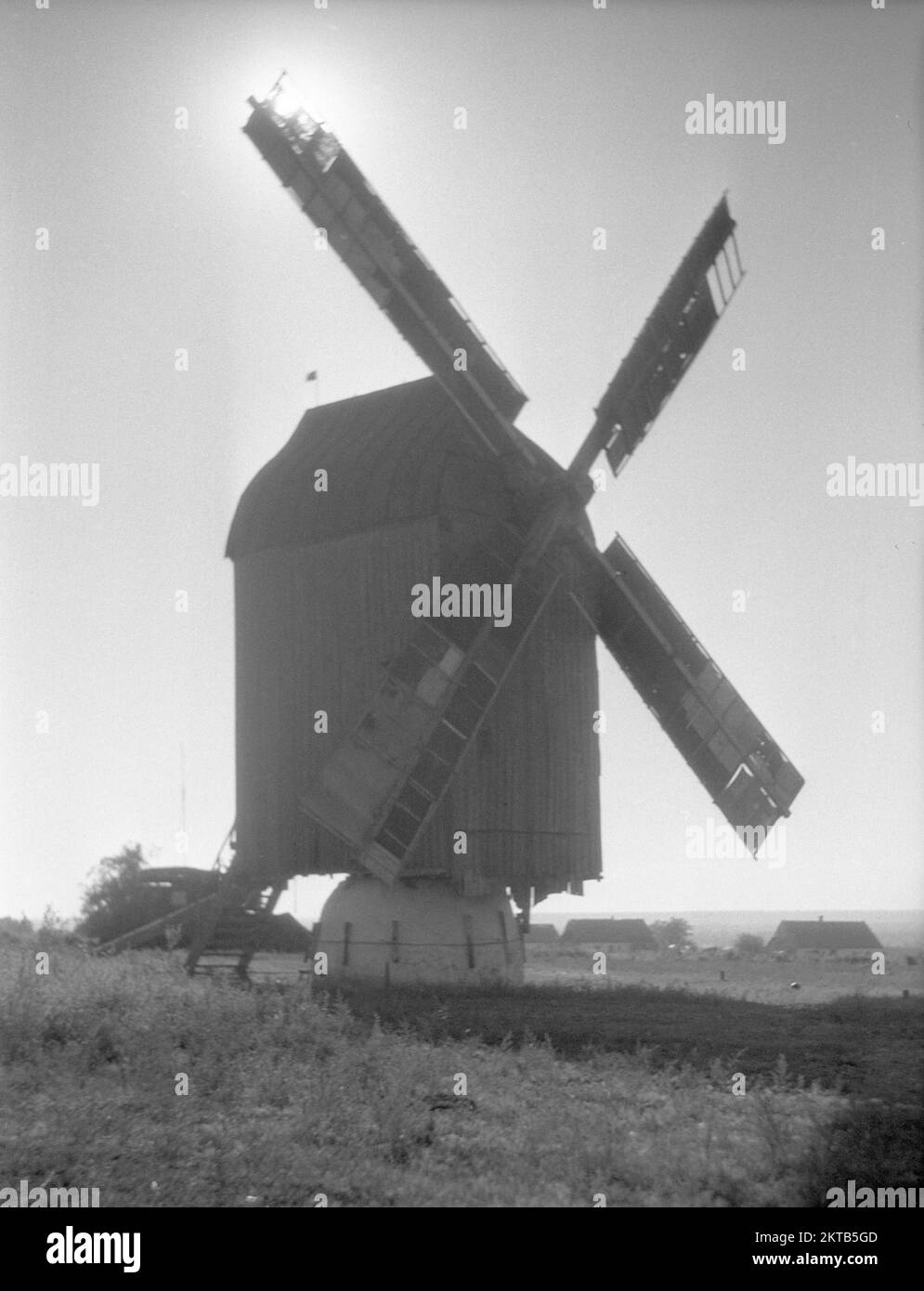 Windmühle in der Ukraine, Sonne hinter Mühlenflügel, August 1941