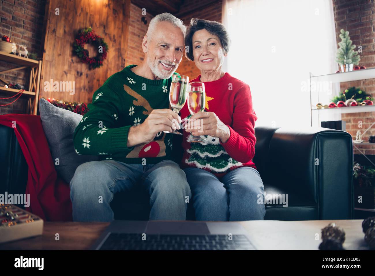 Portrait of two cheerful idyllic people sitting couch hands hold champagne glass clink enjoy festive time indoors Stock Photo