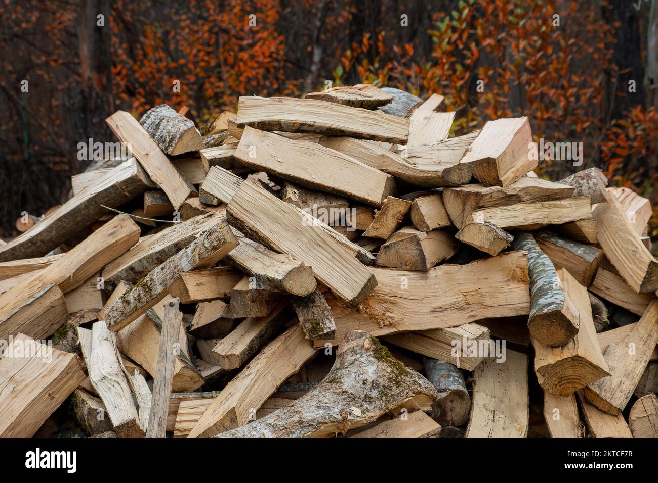 Chopped firewood for heating lies in a pile among the trees Stock Photo