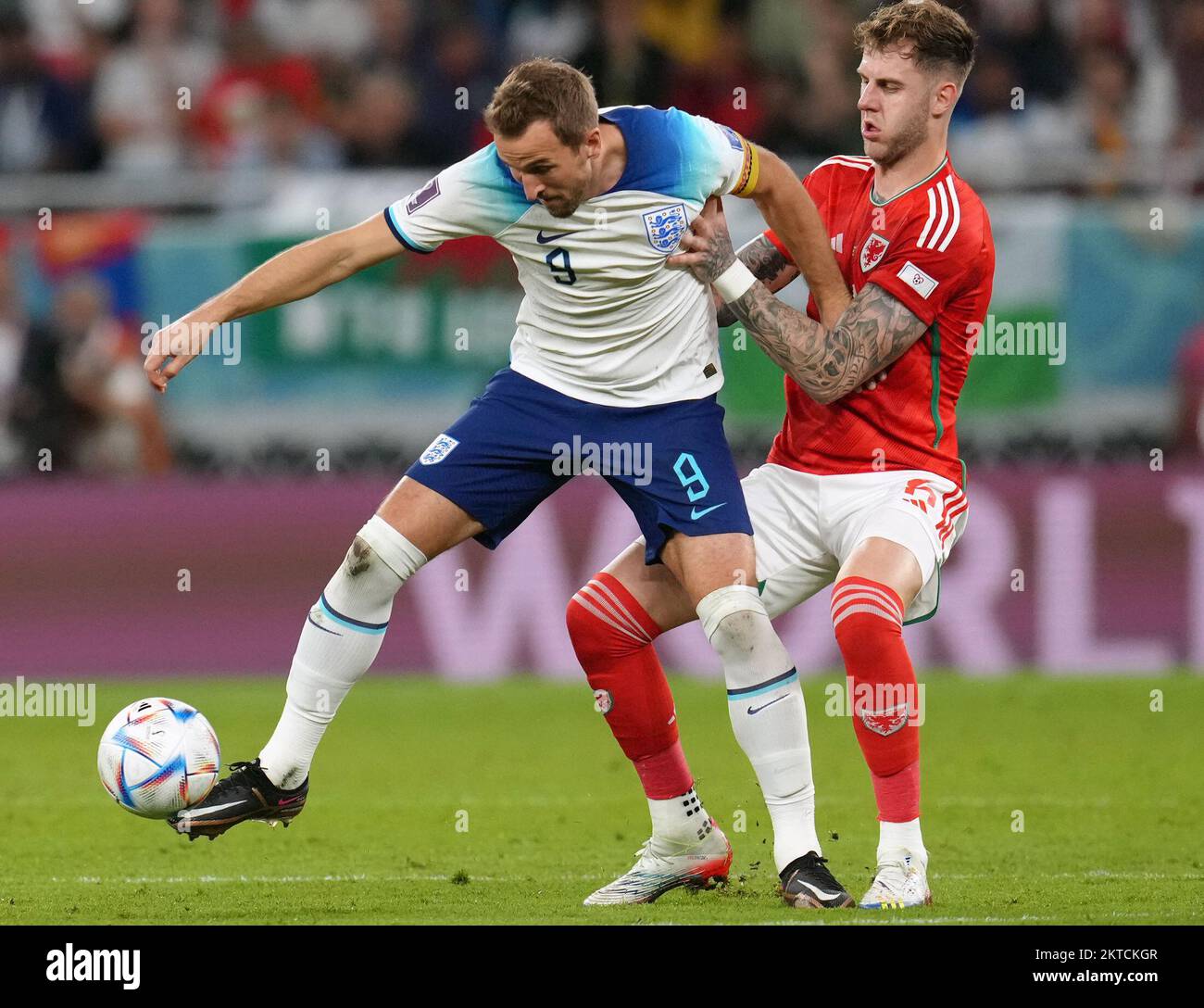 England's Harry Kane and Wales' Joe Rodon (right) battle for the ball during the FIFA World Cup Group B match at the Ahmad Bin Ali Stadium, Al Rayyan, Qatar. Picture date: Tuesday November 29, 2022. Stock Photo