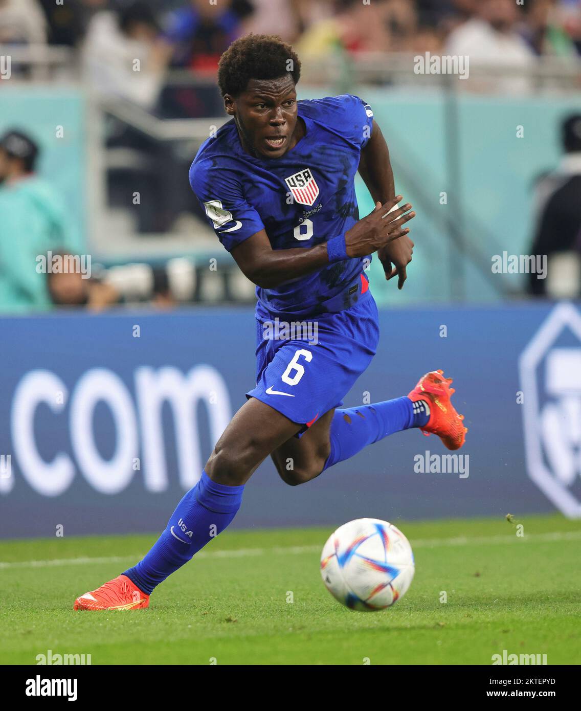 Doha, Katar. 29th Nov, 2022. firo 11/29/2022, Football, Soccer, FIFA