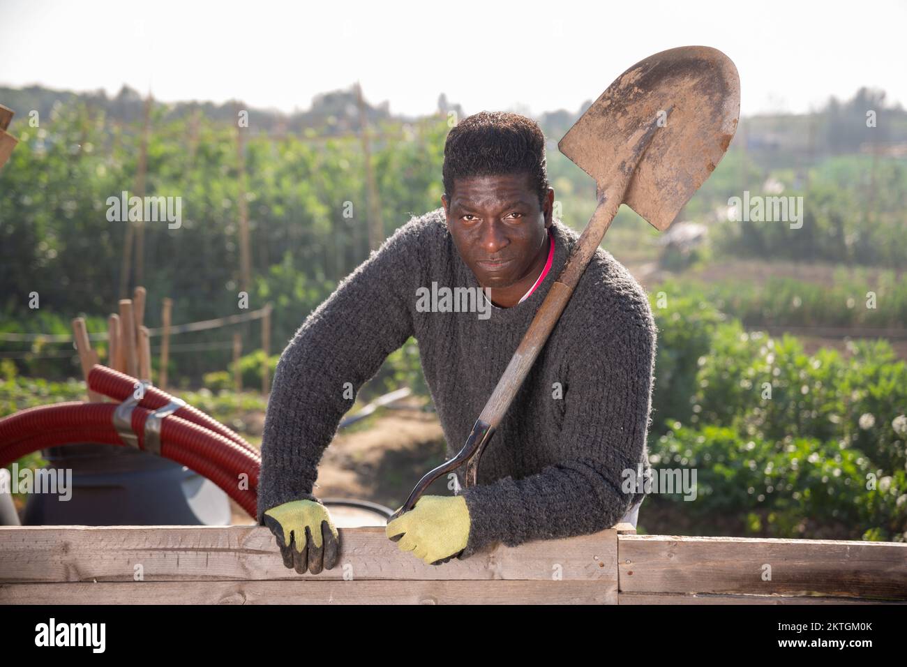 Portrait of an African American man gardener with a shovel on the ...