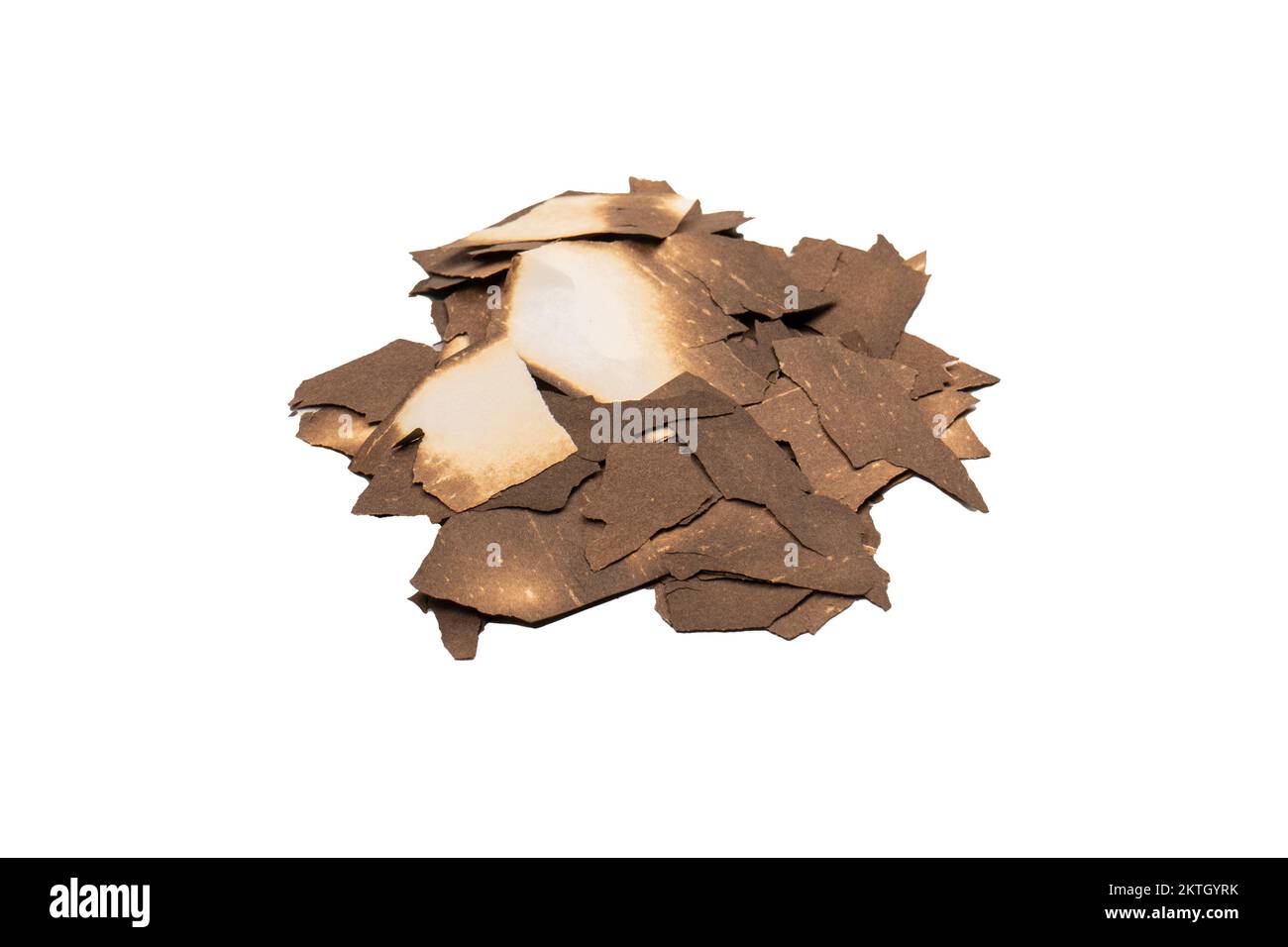 Burnt paper isolated on a white background. Copy space. Stock Photo