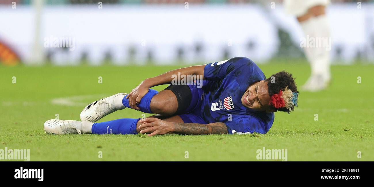 Doha, Katar. 29th Nov, 2022. firo : 11/29/2022, Football, Soccer, FIFA ...