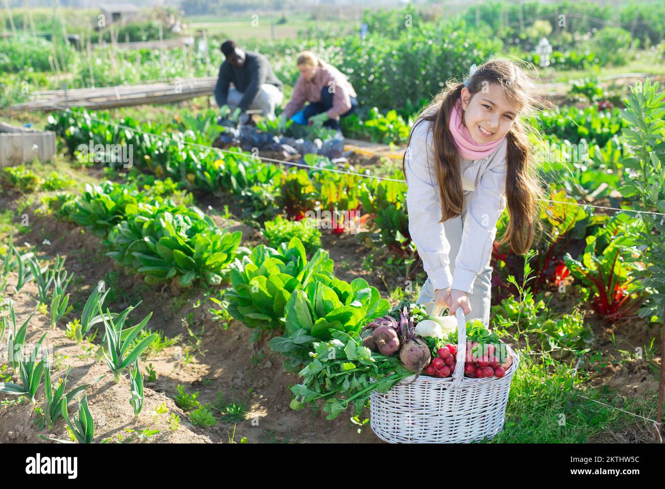 Teenage farmer girl posing with gathered vegetables Stock Photo - Alamy