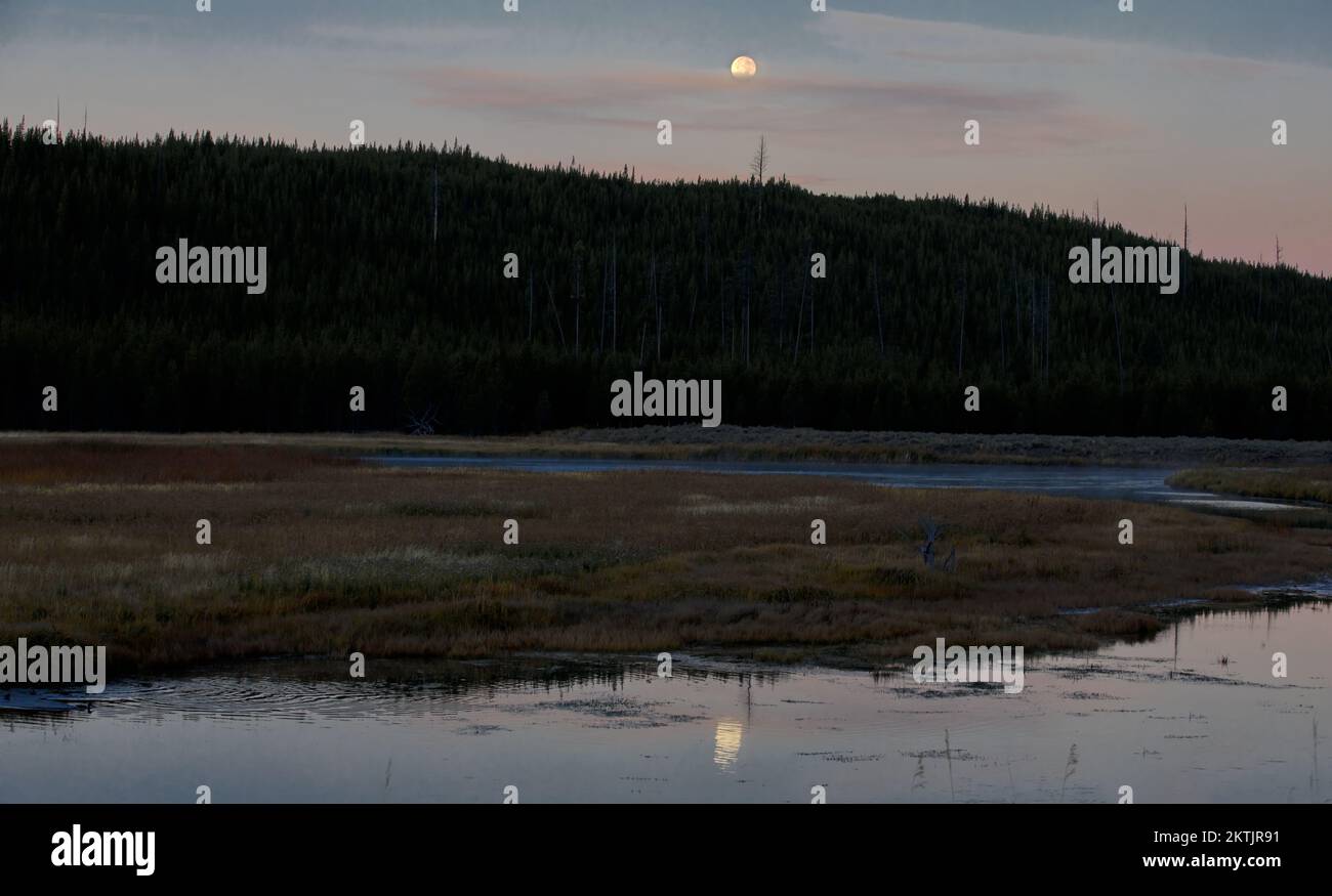 Tranquil landscape with full moon setting over Madison River in Yellowstone National Park, Wyoming, in American West Stock Photo