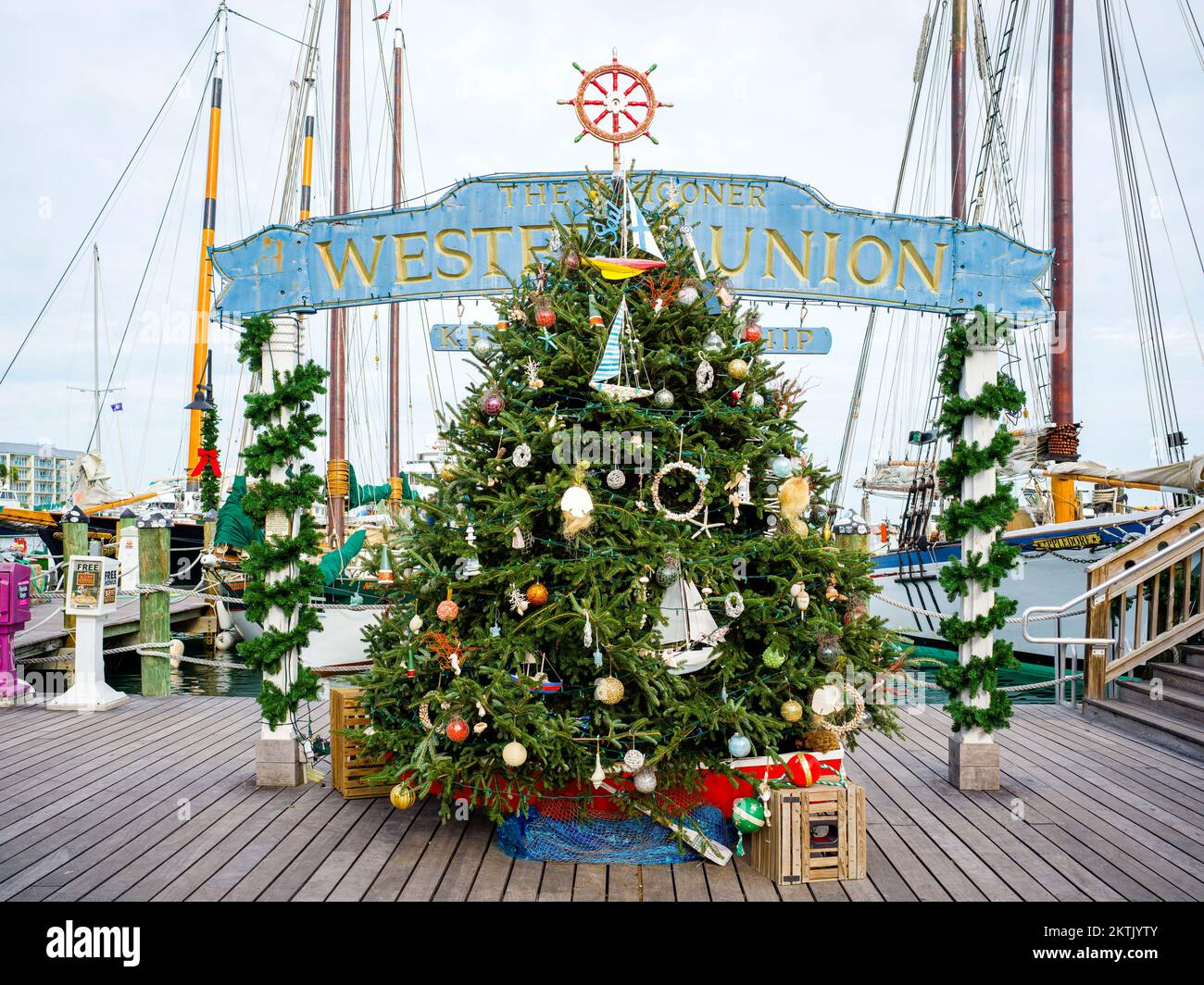 Christmas Trees in Key West,Tropical Christmas,Key West Florida,USA