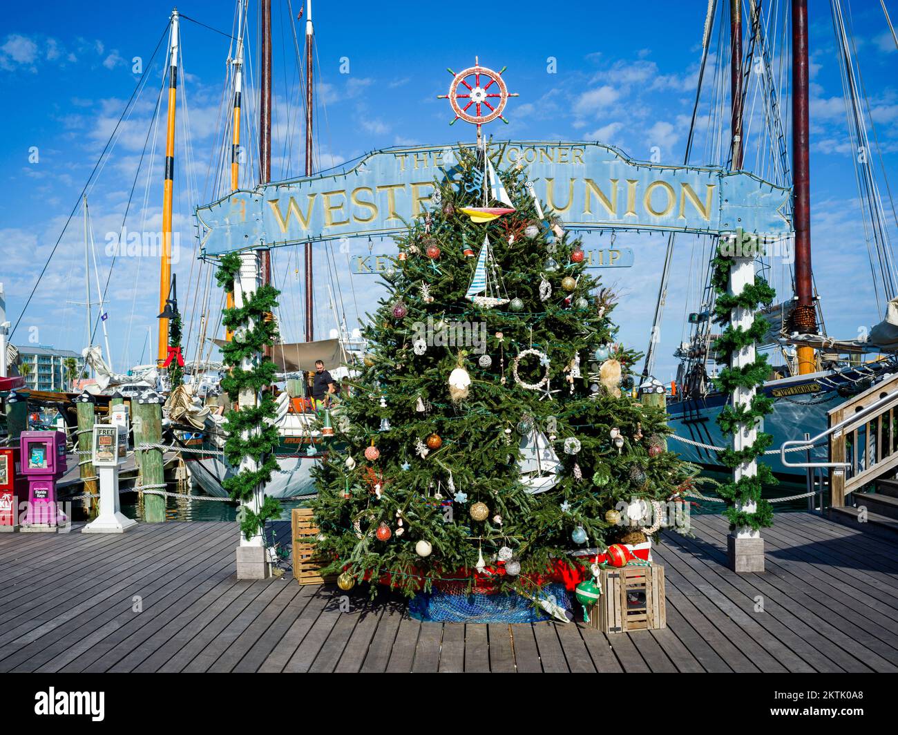 Christmas Trees in Key West,Tropical Christmas,Key West Florida,USA Stock Photo